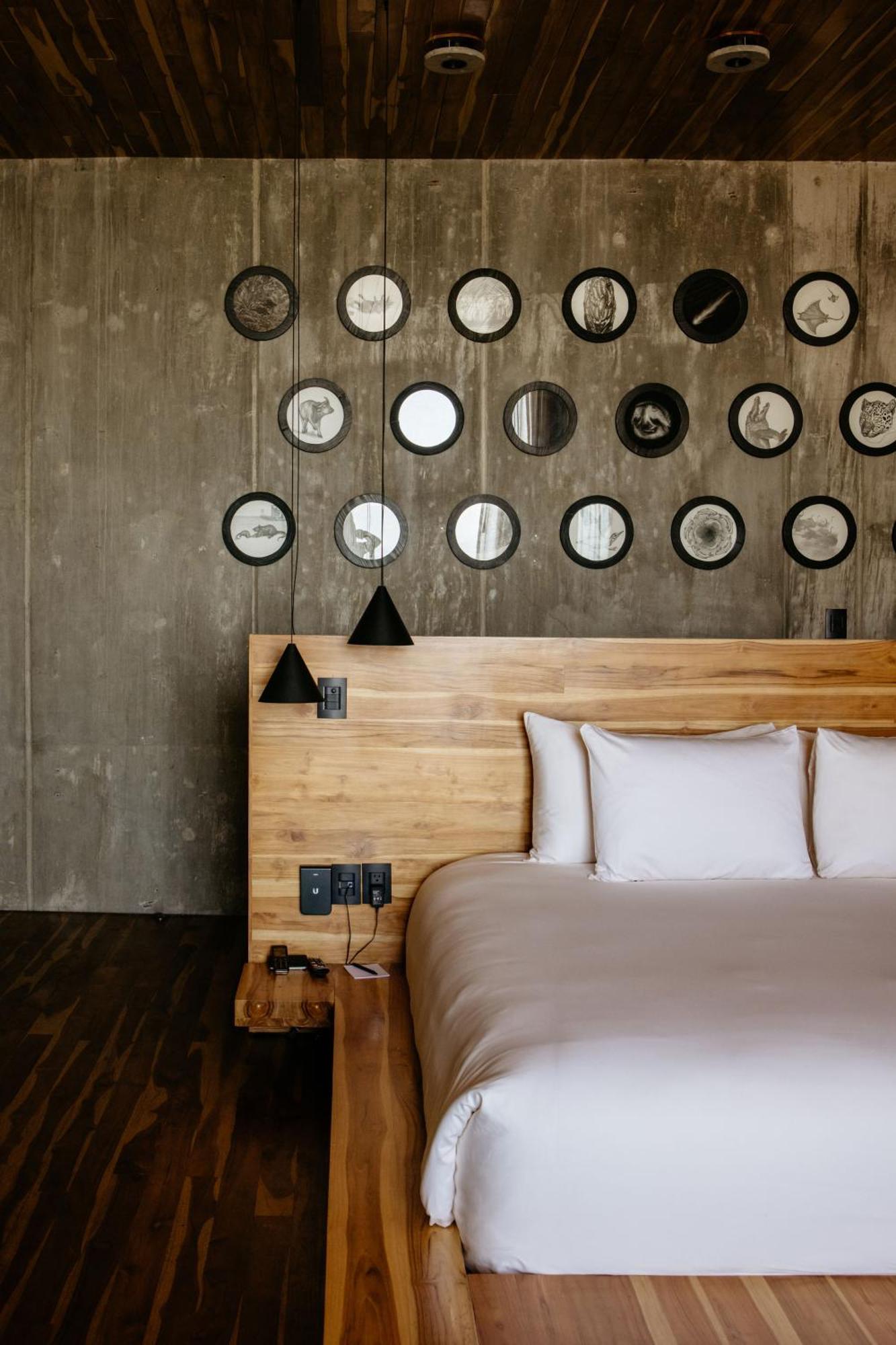Flavia Hotel Oaxaca Rum bild